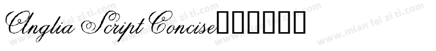 Anglia Script Concise字体转换
